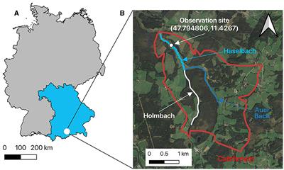 Precipitation fuels dissolved greenhouse gas (CO2, CH4, N2O) dynamics in a peatland-dominated headwater stream: results from a continuous monitoring setup